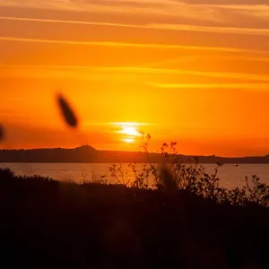 https://splendido-appartamento-a-pochi-passi-dal-mare.sicilyhotelsitaly.net